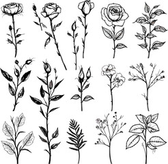 Set of floral doodle. Flower doodle, leaf and twig doodle. Floral poster, invitation floral. Vector arrangements for greeting card or invitation design	