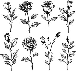 Set of floral doodle. Flower doodle, leaf and twig doodle. Floral poster, invitation floral. Vector arrangements for greeting card or invitation design	