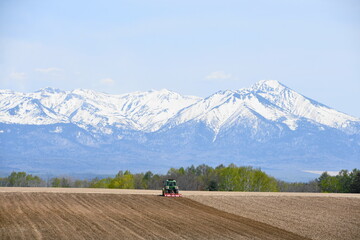 Obraz premium 美瑛始動