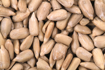 sunflowers seeds texture