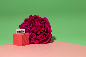 flower and pink cube with the inscription smile, creative cheerful design on the green-pink background
