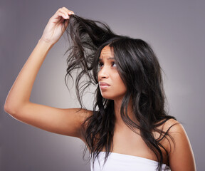 Frustrated, hair damage and woman with split ends on studio background for haircare, beauty and salon haircut. Girl, head and grooming problem or care, treatment and model with messy hairstyle