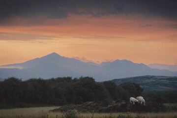 Sunset scene of the Snowdon mountains range with orange sky in wales, UK