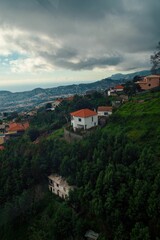 Fototapeta na wymiar Vertical shot of the beautiful buildings in the green Medeira Island bay