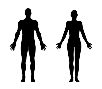Female and male body anatomy, black silhouette, medicine