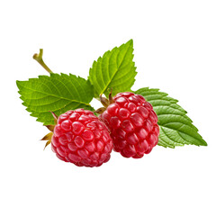 Ripe red raspberry with leaf isolated PNG Transparent background created with Generative AI, Clipping Path