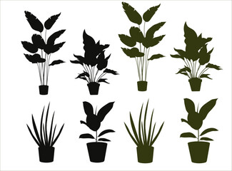 Set of tree branches, eucalyptus, palm leaves, herbs and flowers silhouettes