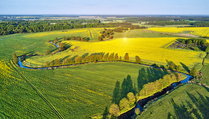 Spring morning landscape. Calm river in blooming meadows. Aerial rural view from above. Agricultural yellow green colza fields. Rapeseed blossom scene. - 606001357