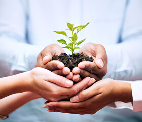 Plants, hands and teamwork of business people for eco friendly growth, sustainability support and...