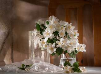 Still Life with Jasmine in a Dark Key