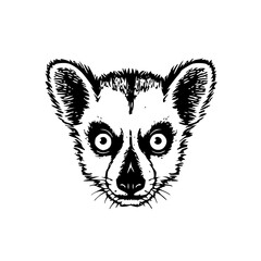 Lemur head vector illustration isolated on transparent background
