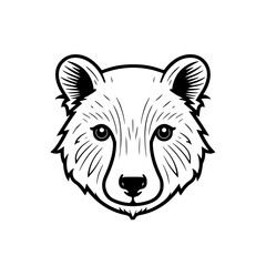 Wombat head vector illustration isolated on transparent background