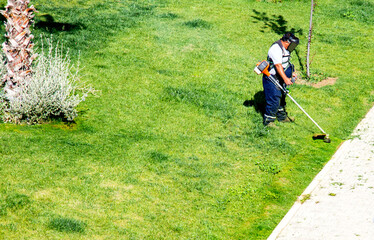 Gardener mowing the lawn in the garden. Gardening. Cutting the lawn with cordless grass trimmer, edger