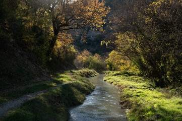 Sunny view of the diversion canal of an old mill which has become a micro hydroelectric power station. A pad. Trees with autumnal colors. Provence in France.
