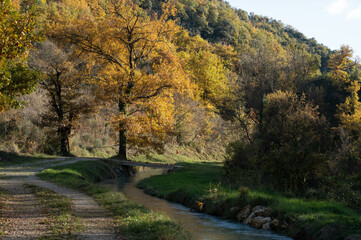 Sunny view of the diversion canal of an old mill which has become a micro hydroelectric power station. A small bridge. Trees with autumnal colors. Provence in France.