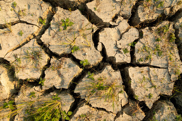 Dry and cracked land, dry due to lack of rain, in the island of Sulawesi, near Poso lake,...