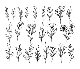 A collection of hand drawn leaves and flower decorative floral element