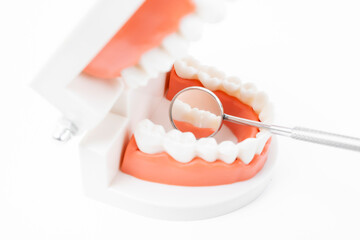 Fototapeta na wymiar A Teeth model with dental mirror on white background