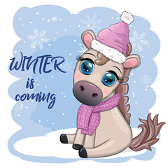 Cute horse, pony in Santa's hat with candy kane, Christmas ball, gift, ice skating. Winter is coming