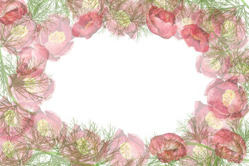 watercolor illustration of frame and card peonies thin-leaved on a white background