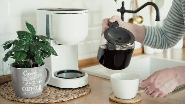 Woman's hand pouring freshly brewed coffee in cup. View on cofee tree plant, drip coffee maker and modern white kitchen