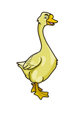 Goose illustration