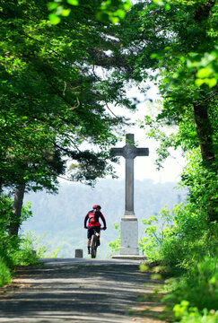 Augas cross in Fontainebleau forest