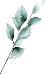Obraz premium beautiful watercolor leaves