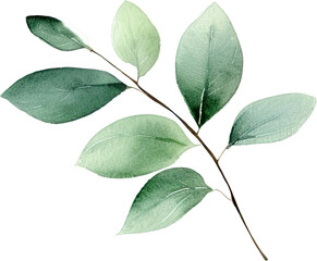 beautiful watercolor leaves