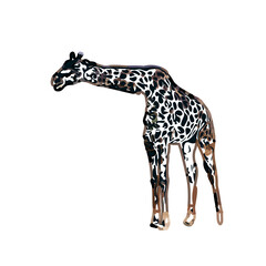 giraffe color sketch with transparent background