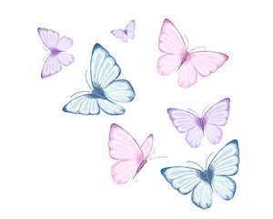 Naklejka na ściany i meble butterflies and flowers