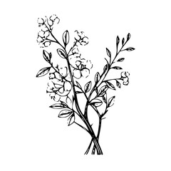 Twig vector illustration isolated on transparent background