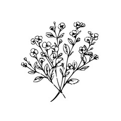 Twig vector illustration isolated on transparent background