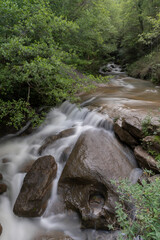 Agua fluyendo por el rio dentro del bosque