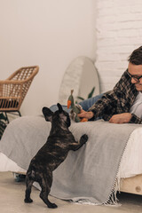 Happy young man is having fun and playing with his puppy, French Bulldog.Man lying on the bed at home,teasing the dog with a textile toy.