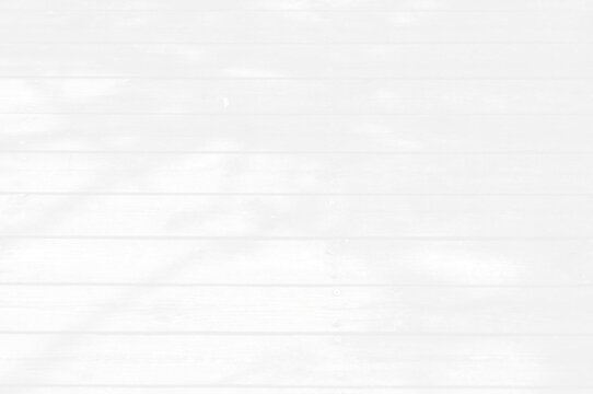 Abstract blurred background. The shadow reflection of leaves and gray light lines. on the white surface concrete wall. for wallpaper, backdrop and design.