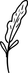 hand drawn floral line art