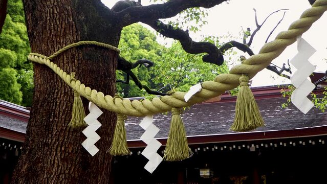 Meiji Jingu