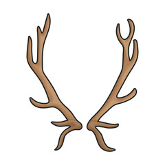 Elk horn vector icon.Color vector icon isolated on white background elk horn.
