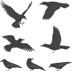 カラスのイラストセット
