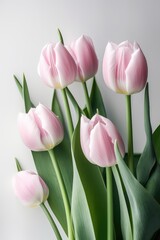 Obraz premium bouquet of tulips