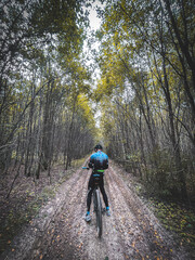 Naklejka premium cyclist in the trees, bicycle on a forest road