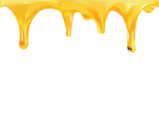 Dripping honey. Golden yellow realistic syrup or juice dripping liquid oil splashes vector template