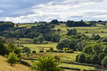 Fototapeta na wymiar Landscape green countryside farm hills with green trees and blue skies