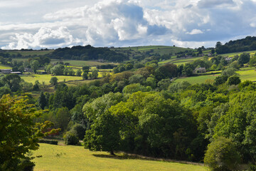 Landscape green countryside farm hills with green trees and blue skies