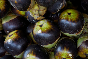 Bunch of ripe Palmyra palm or toddy palm