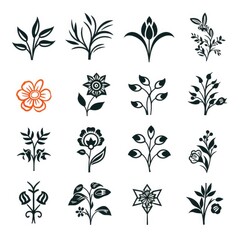A Collection of Floral Icons and Symbols, set of elements for design, set of floral elements