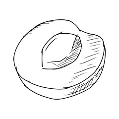 Half an apricot. Vector illustration. Isolated. Sketch style.