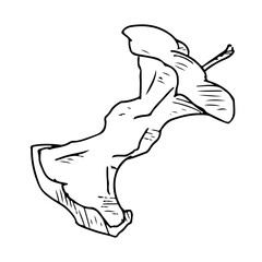 Applecore. Vector illustration. Isolated on white. Hand-drawn style.