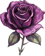 Fototapeta na wymiar Purple Rose Flower Illustration Vector AI Generative Image 